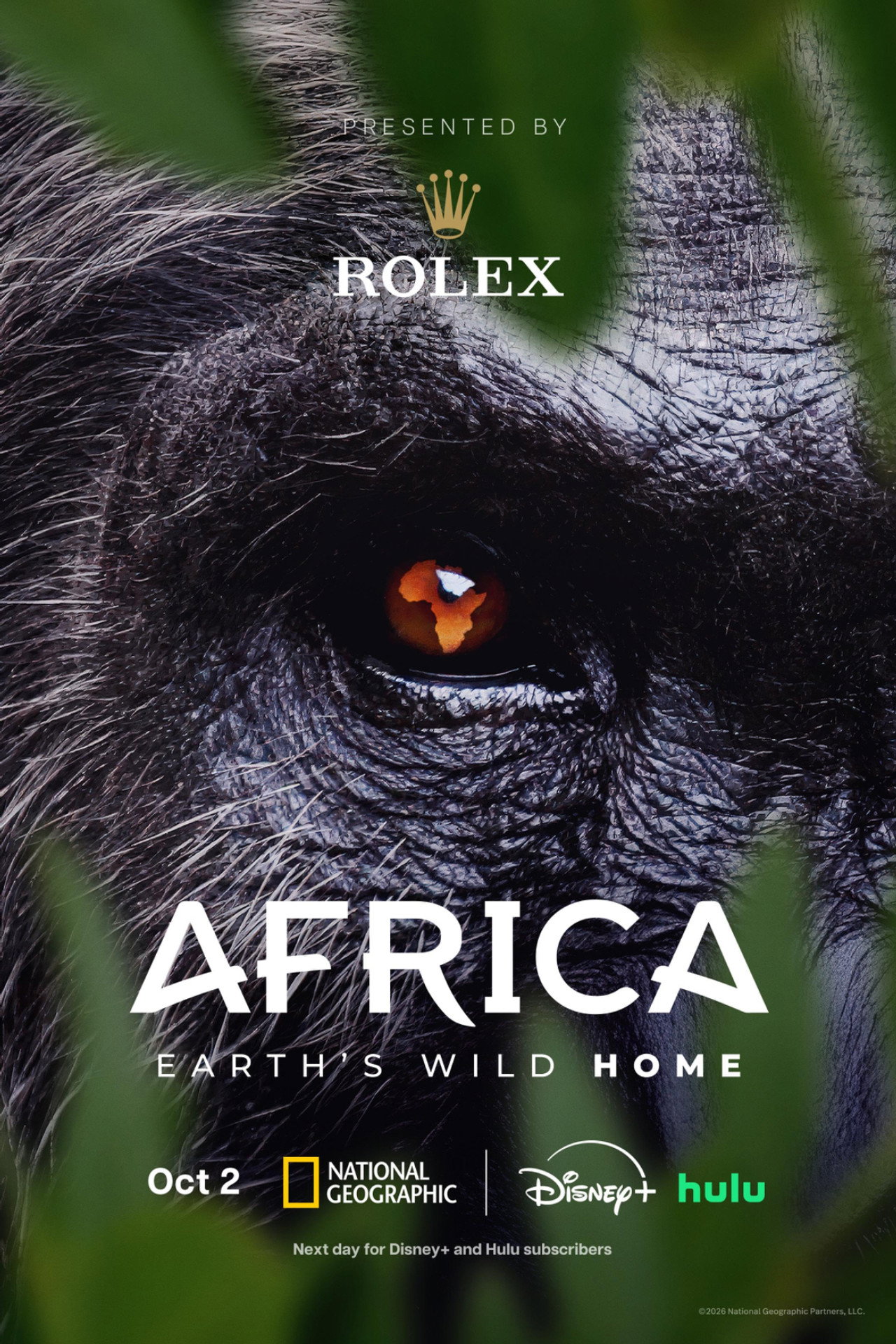 Africa Earth’s Wild Home Backdrop