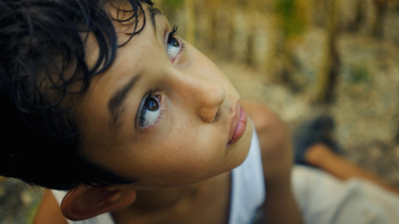 I fiori non hanno le scarpe