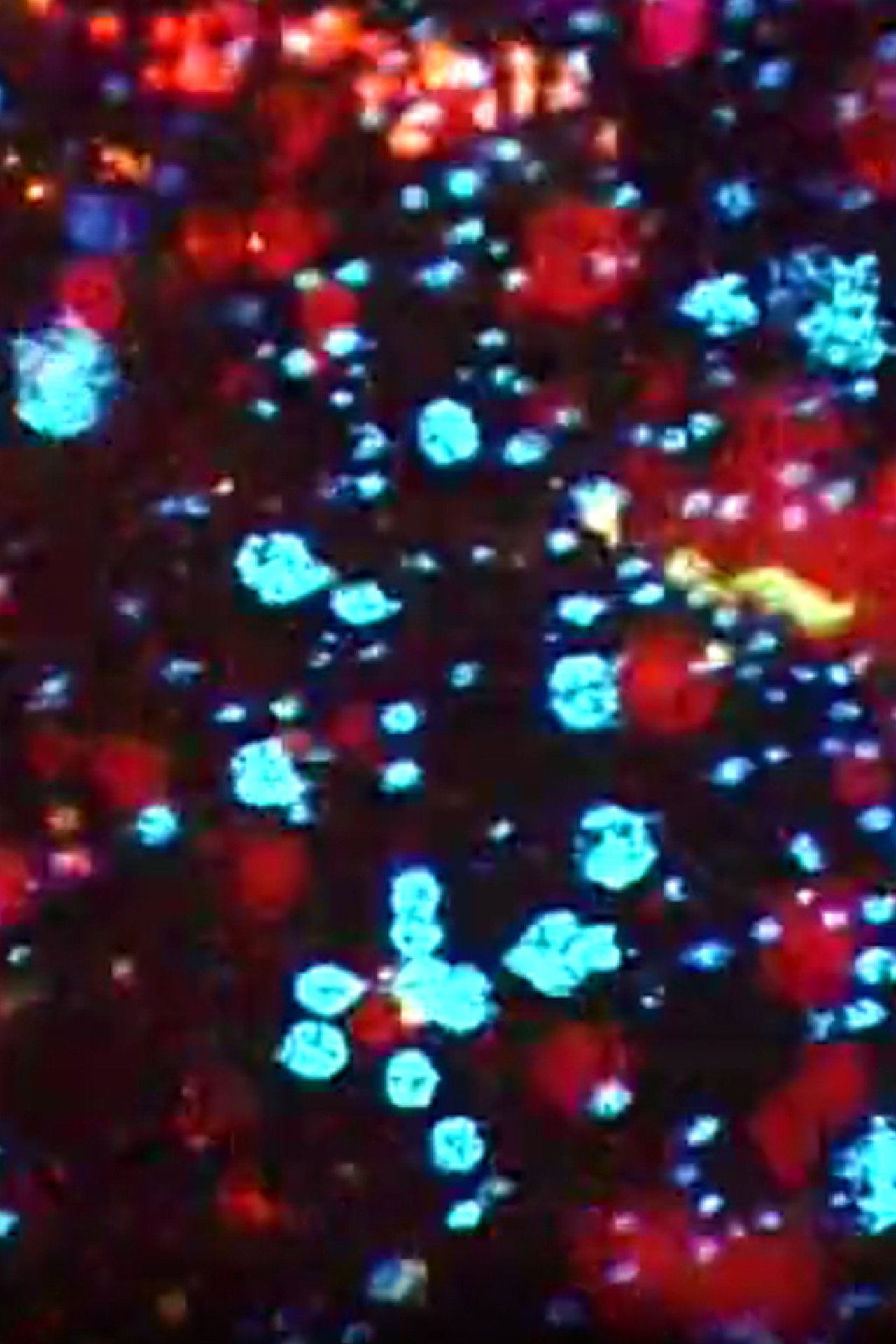 Particle Acceleration filmaffisch