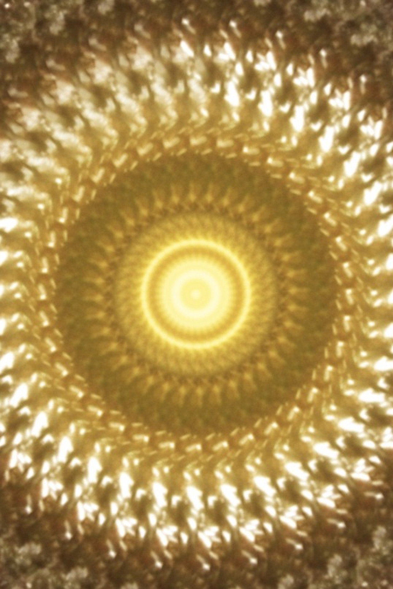 First Light Backdrop