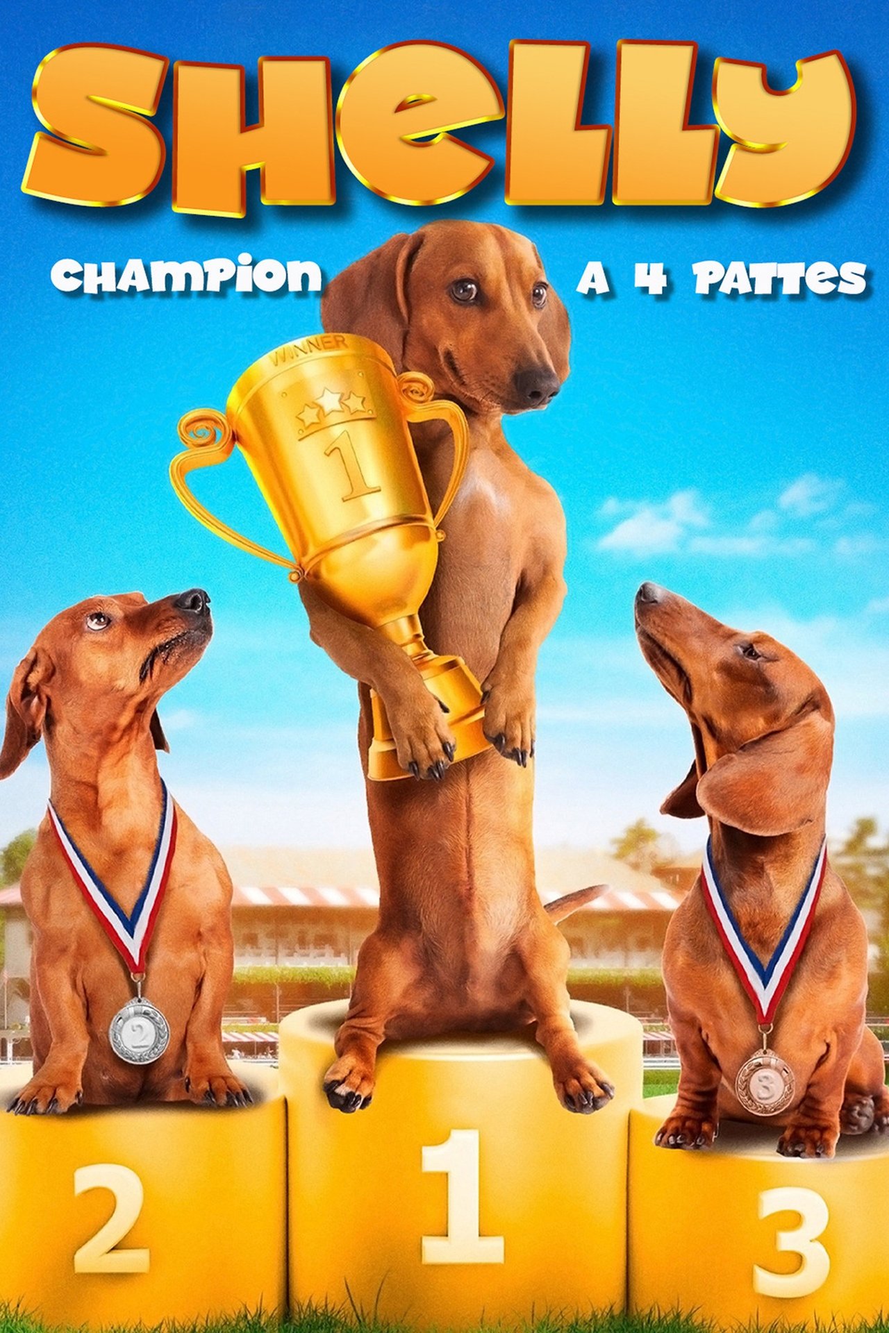 Shelly, champion à 4 pattes poster