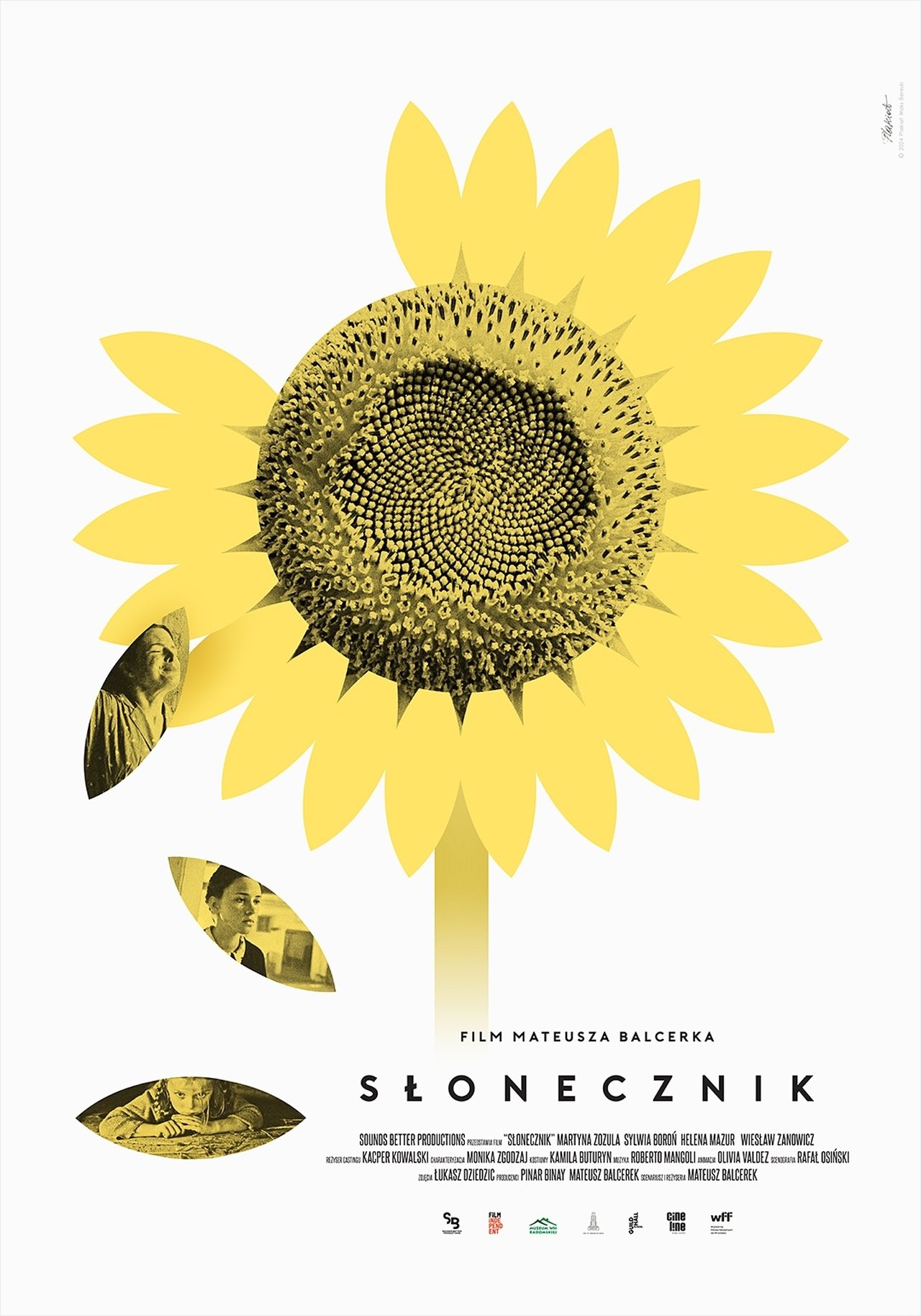 Słonecznik poster