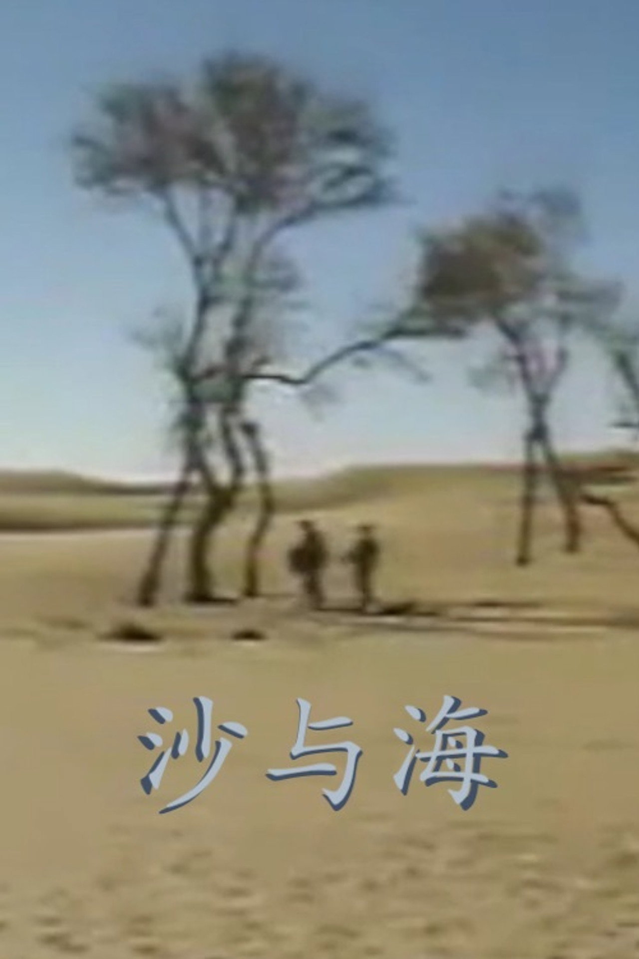 沙与海 filmaffisch