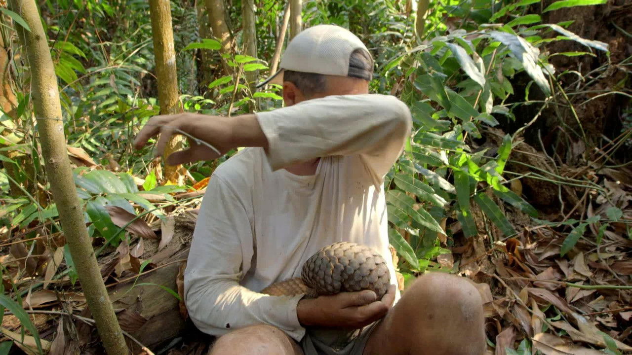 Wild Frank — Épisode 2