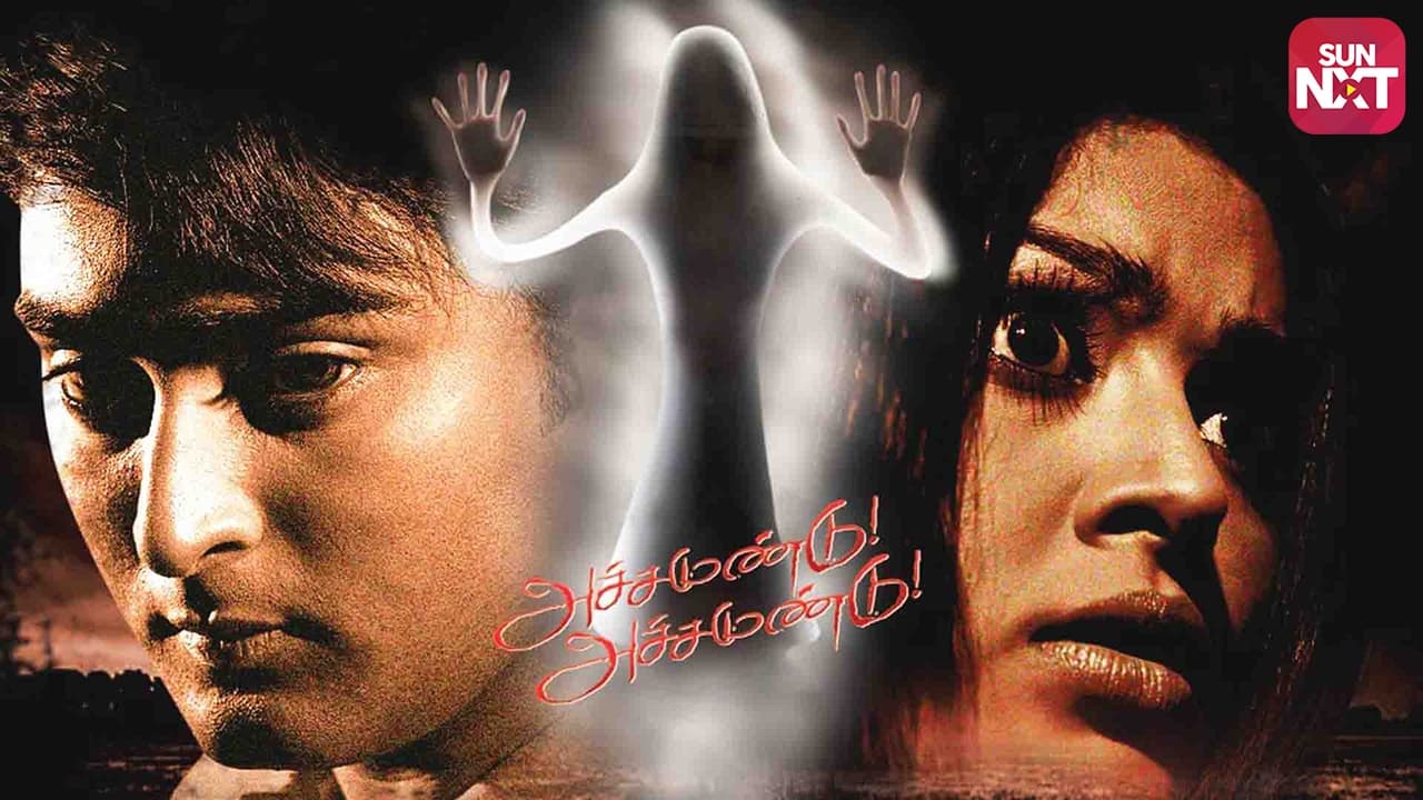 அச்சமுண்டு அச்சமுண்டு (2009)