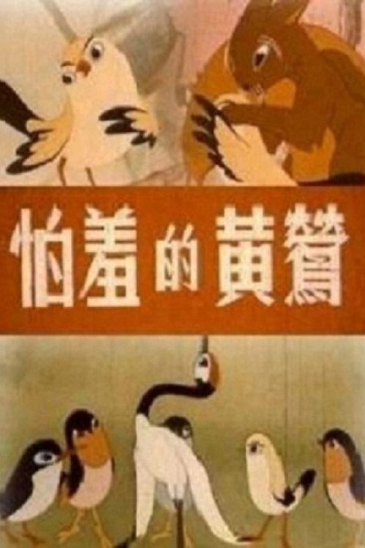 怕羞的黄莺 filmaffisch