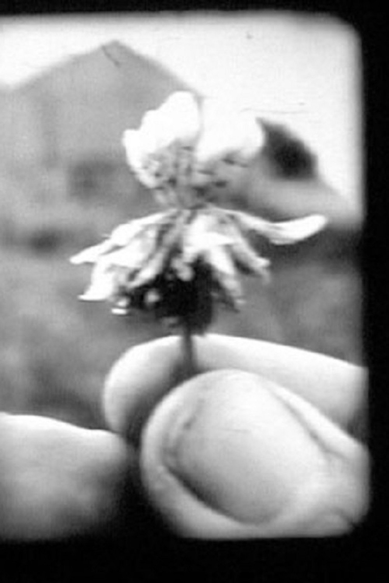 Traces filmaffisch
