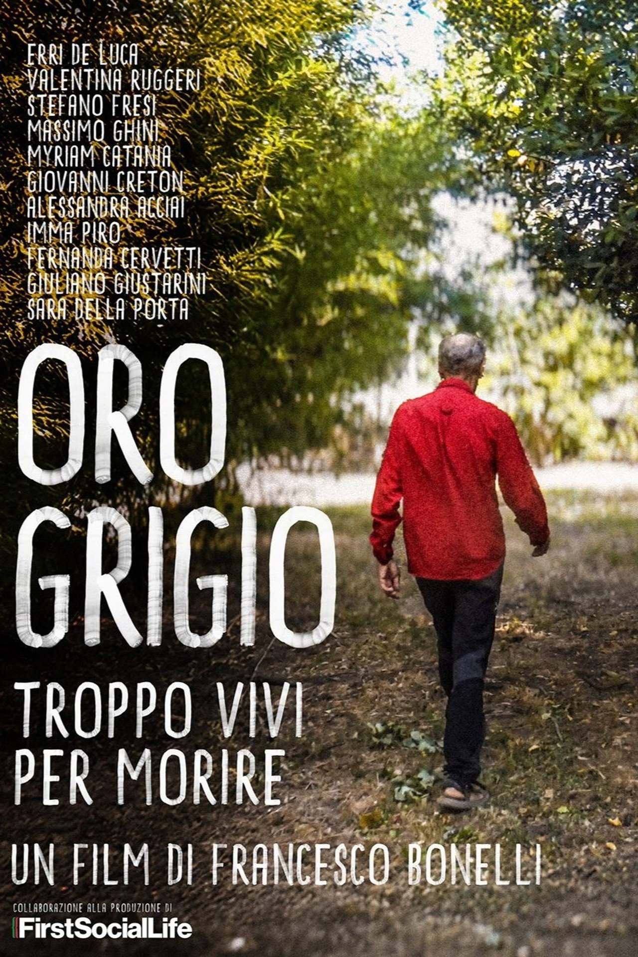 Oro grigio - Troppo vivi per morire filmaffisch