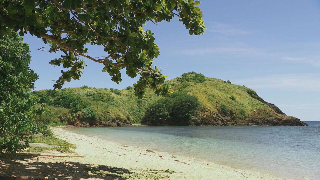 Robinson - Season 27 Episode 8 : Episode 8