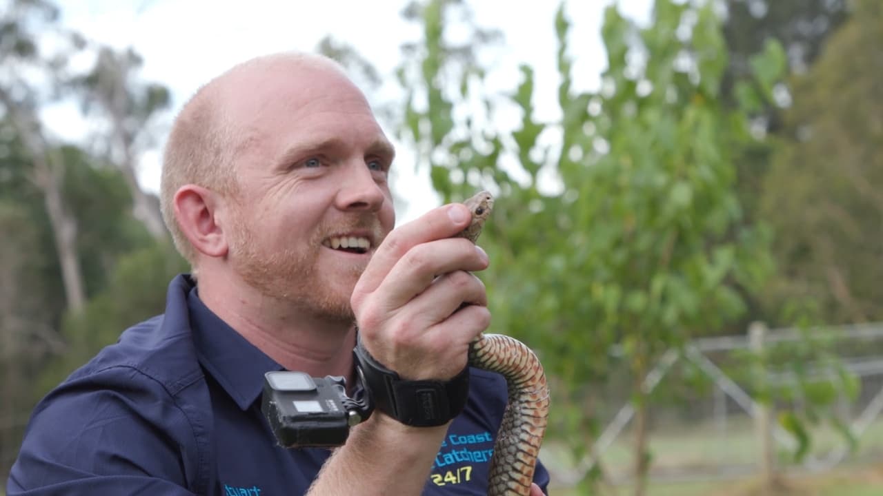 Aussie Snake Wranglers - Season 2 Episode 2 : Tight Squeeze