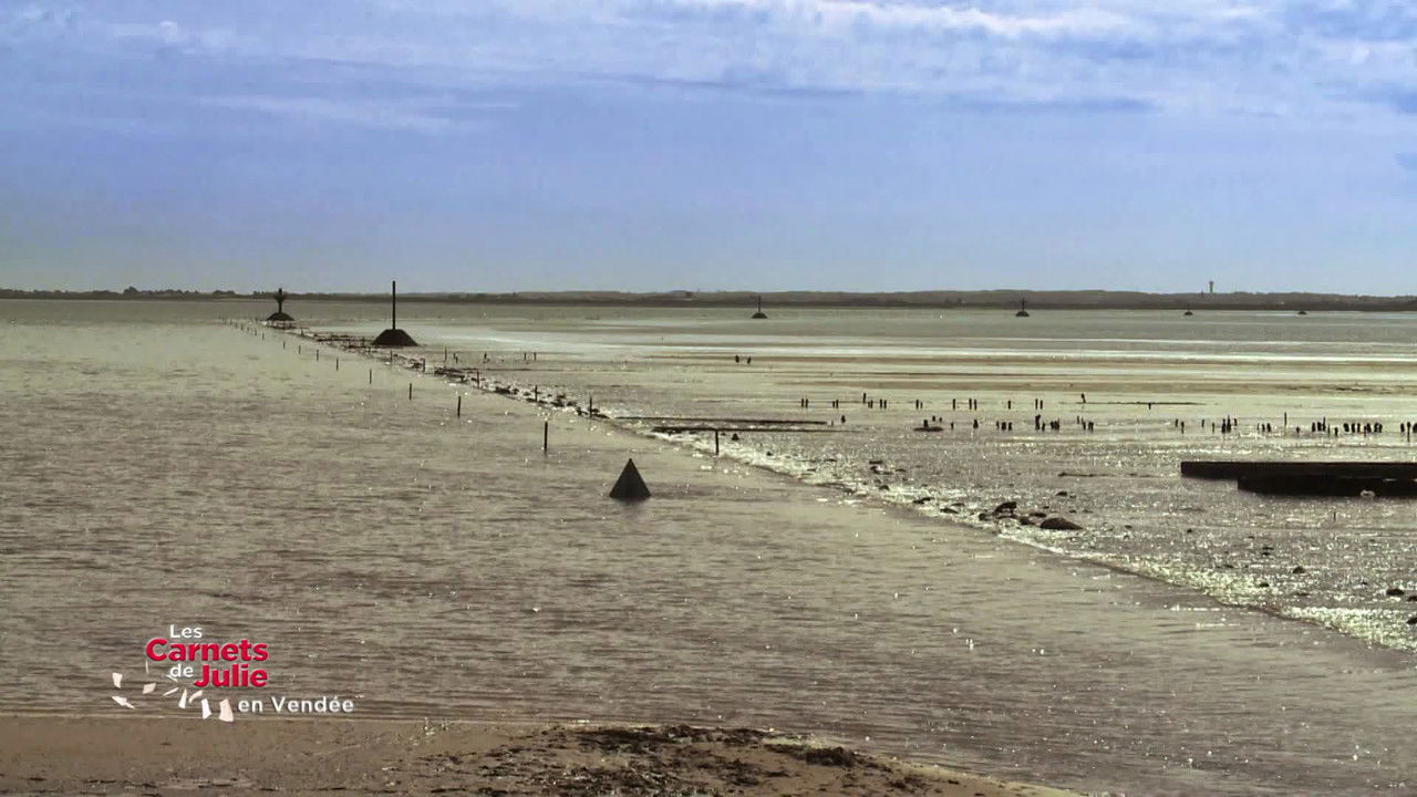Les Carnets de Julie — L'Île de Noirmoutier, en Vendée