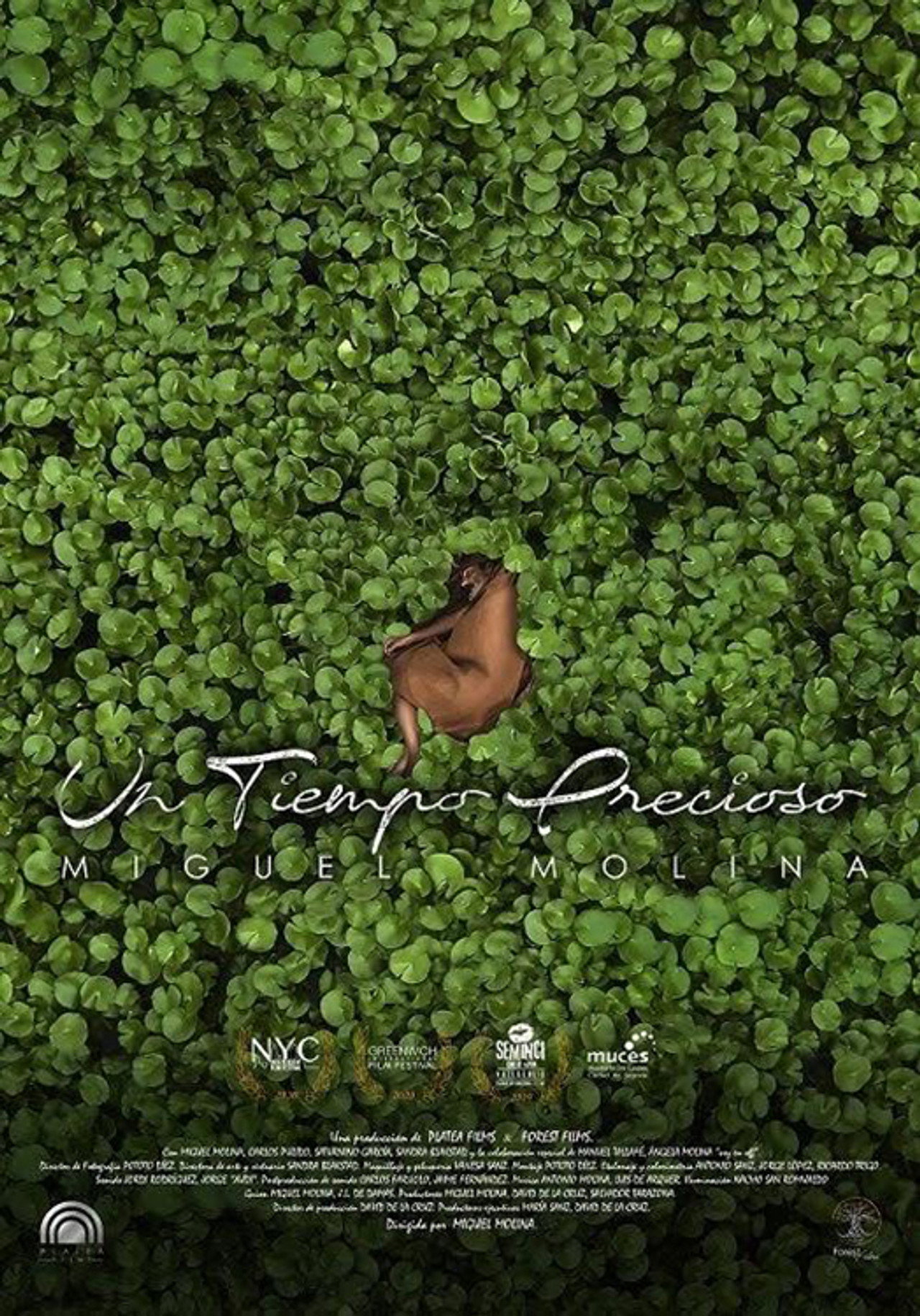 Un tiempo precioso filmaffisch