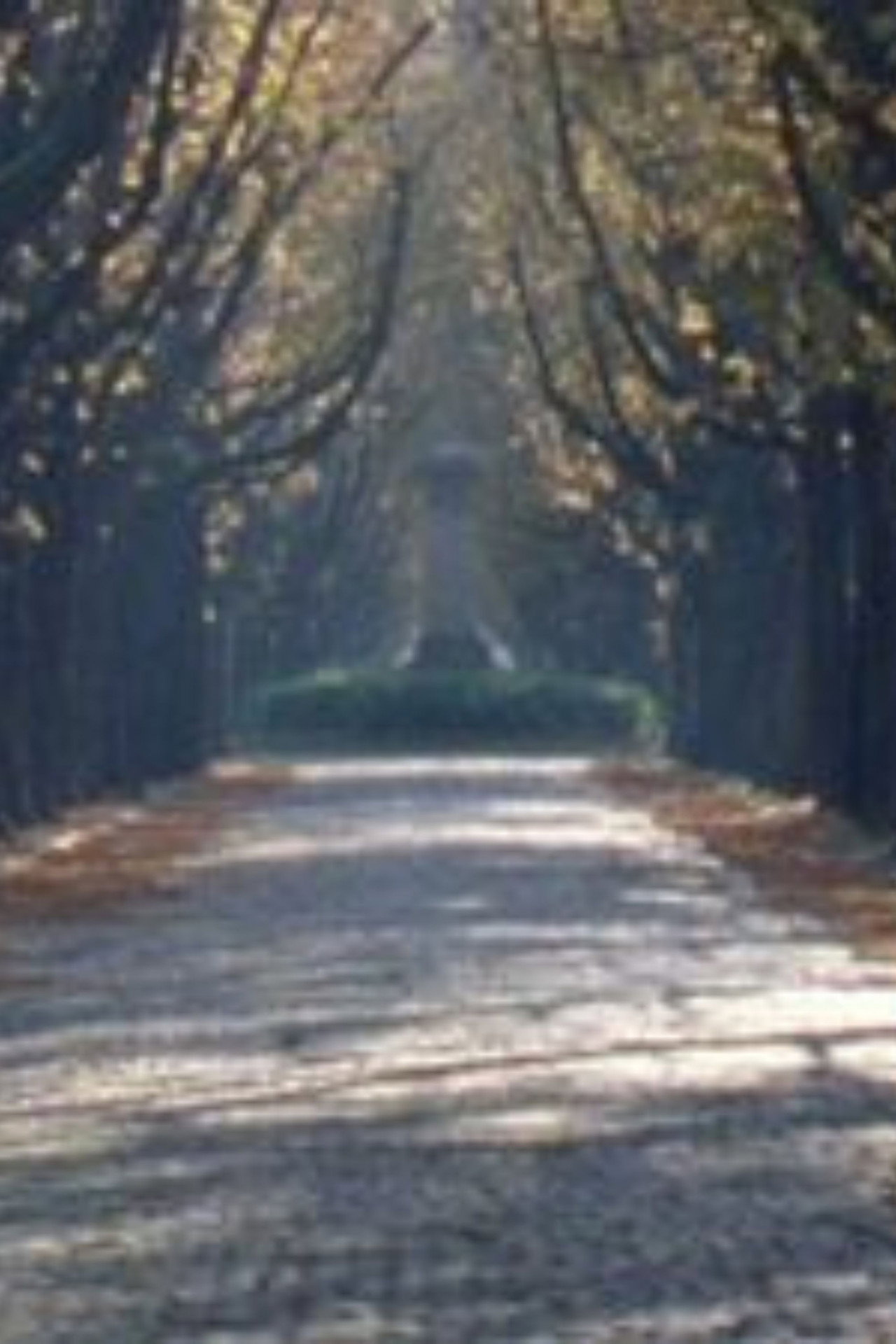 Nous sommes revenus dans l'allée des marronniers filmaffisch