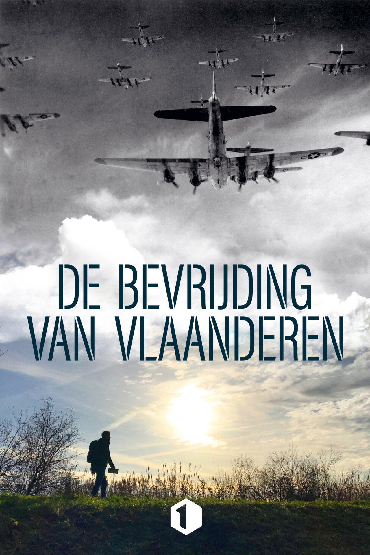 De bevrijding van Vlaanderen affisch