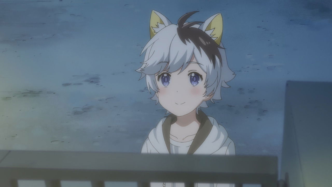 Have You Seen My Tama?