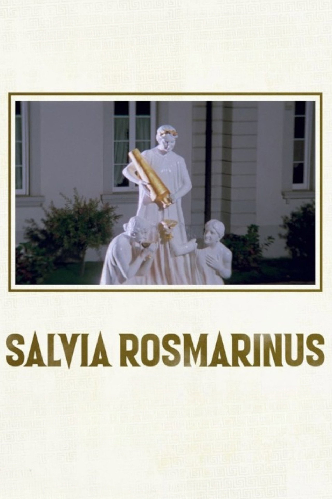 SALVIA ROSMARINUS poster