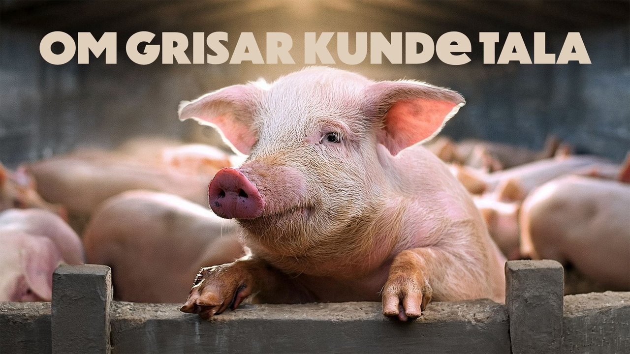 مشاهدة فيلم If Pigs Could Talk مترجم بدون اعلانات - خلفية