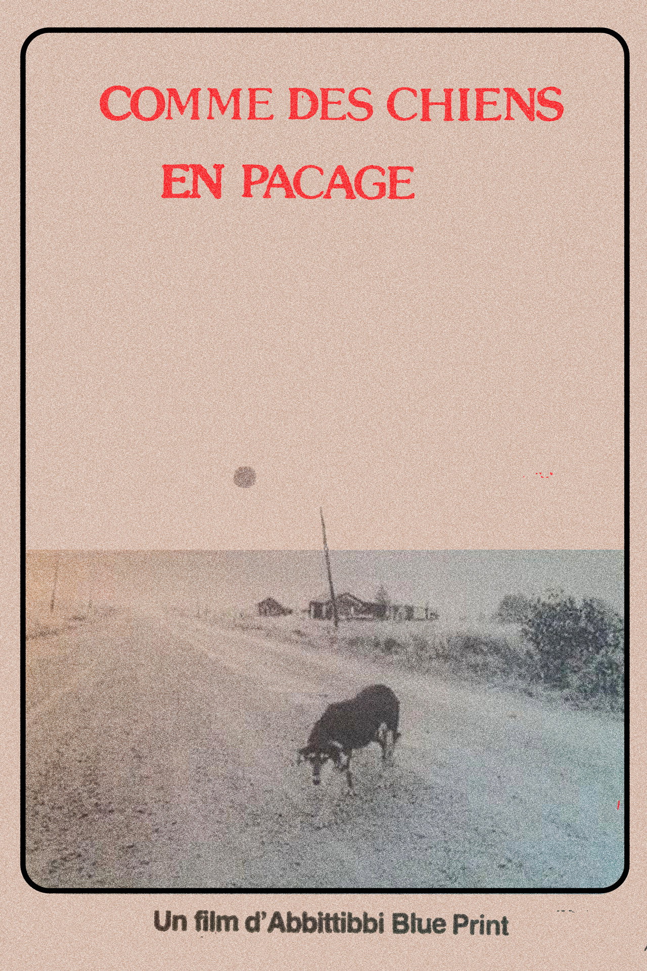 Comme des chiens en pacage