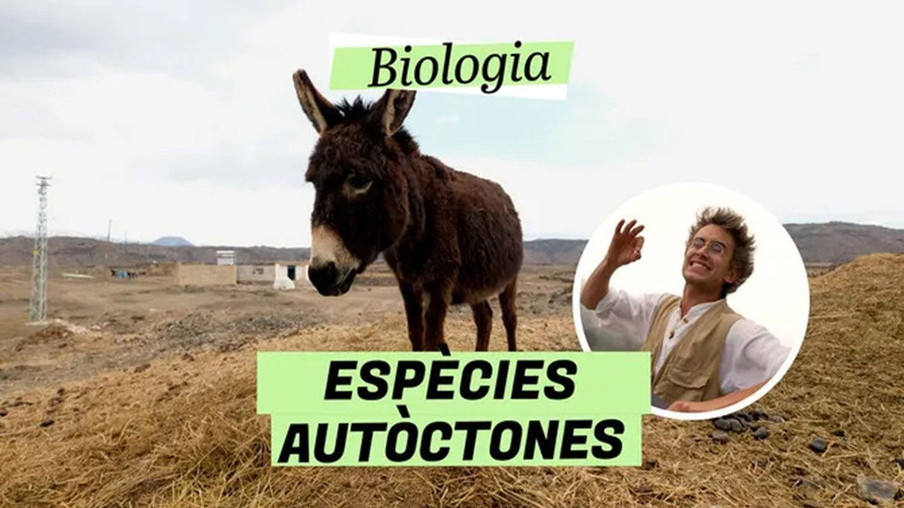 Biologia — Épisode 16