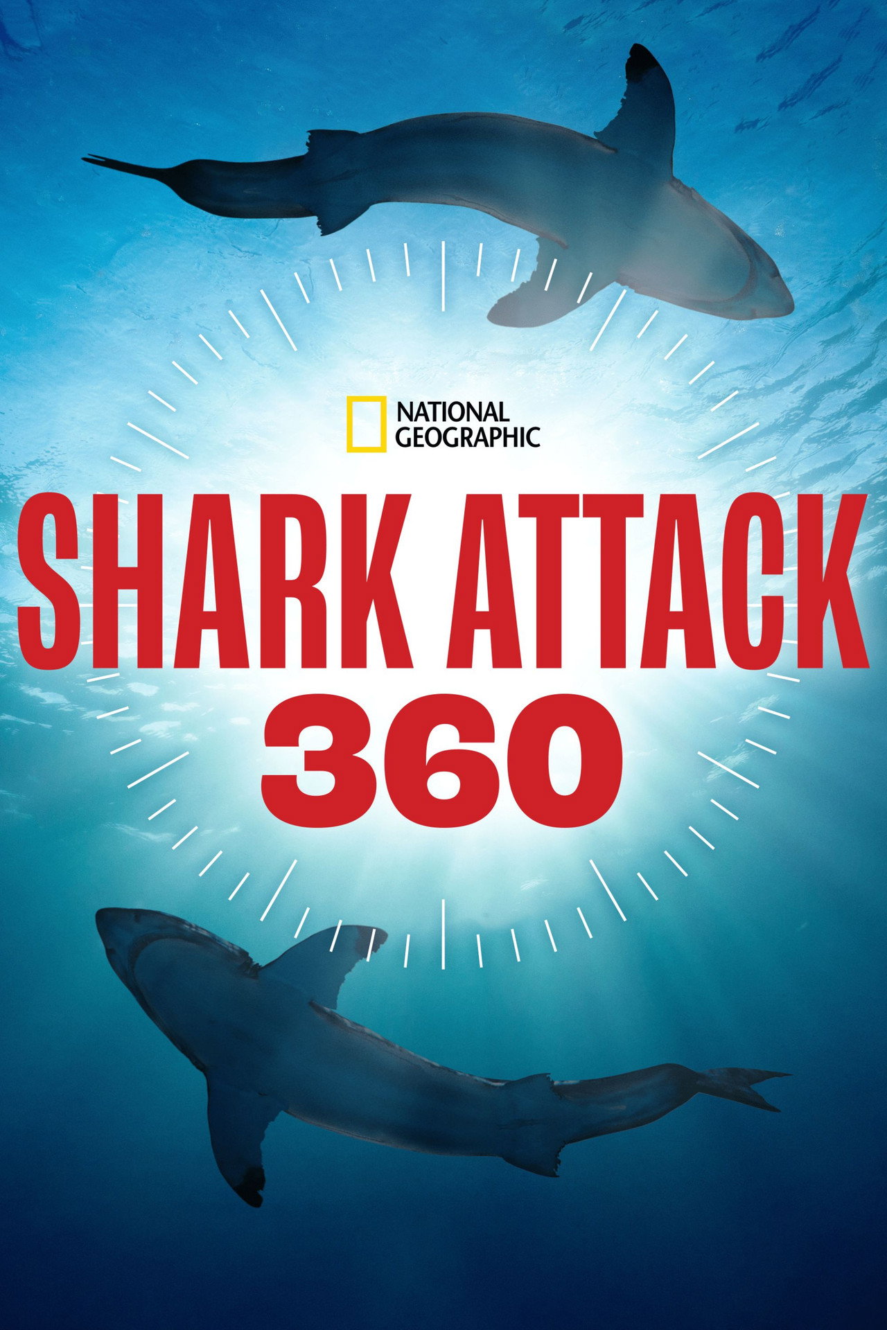 Shark Attack 360 affisch