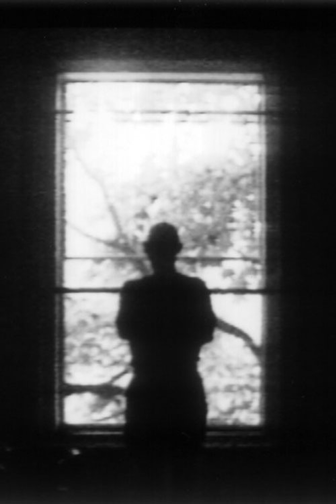 Fenêtre filmaffisch