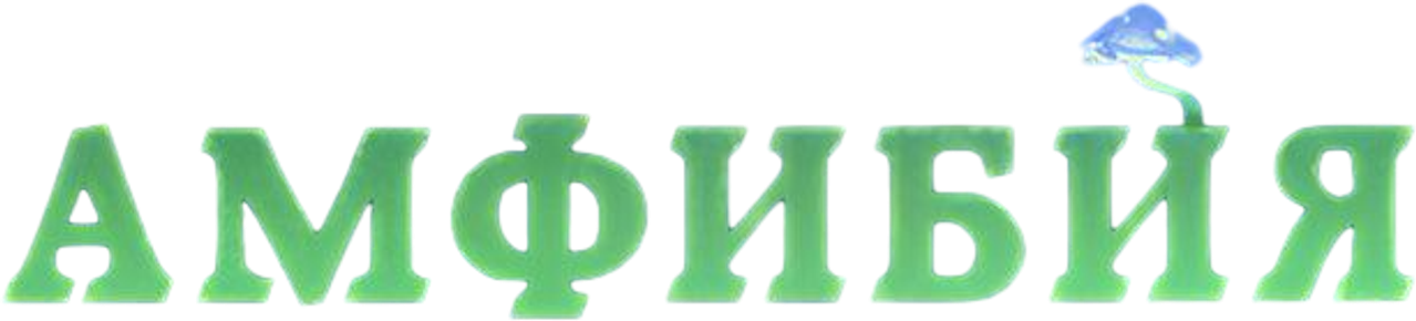 Амфибия