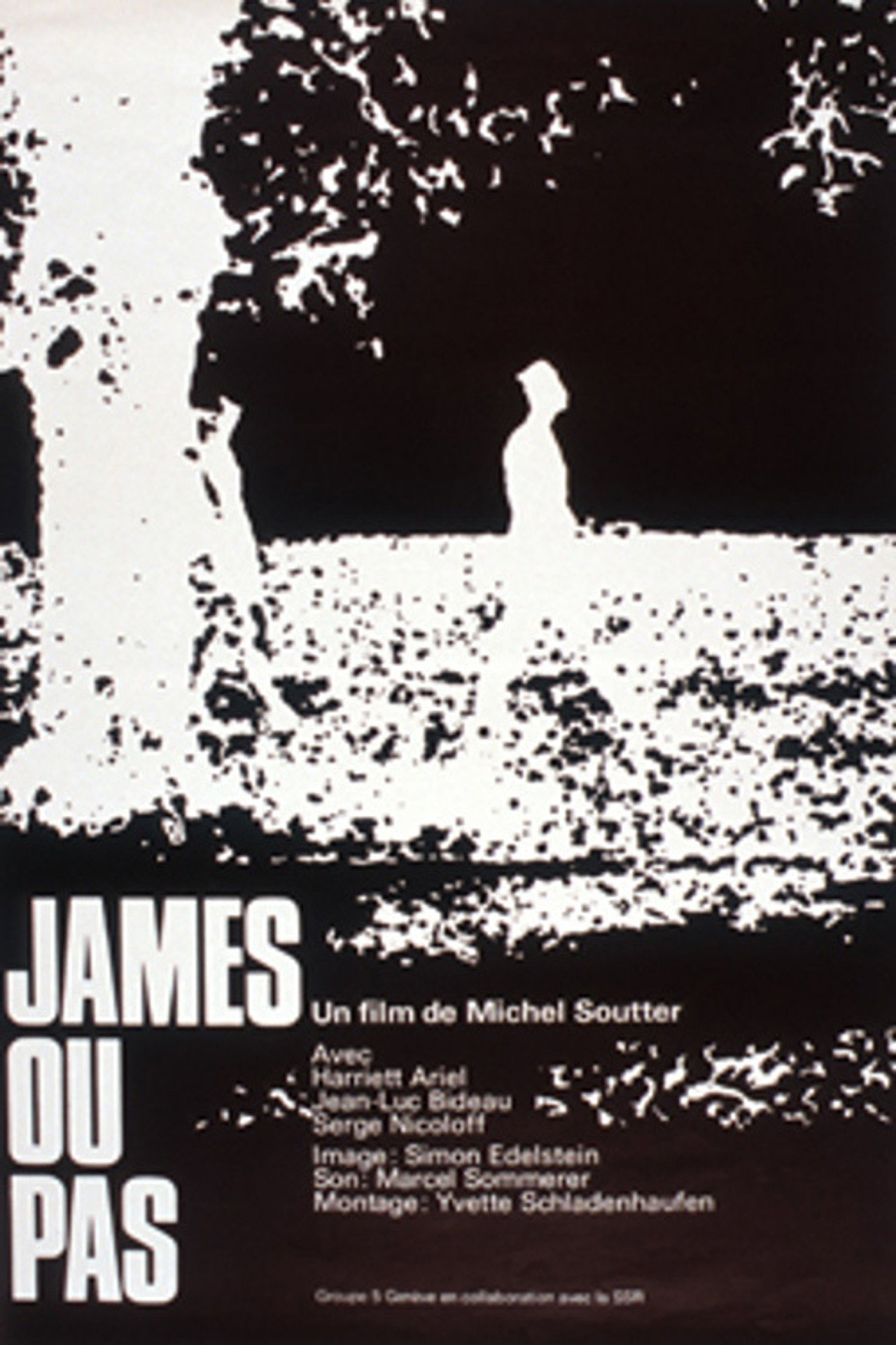 James ou pas filmaffisch