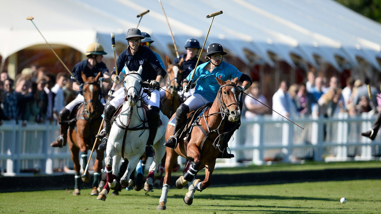 Backdrop for Polo