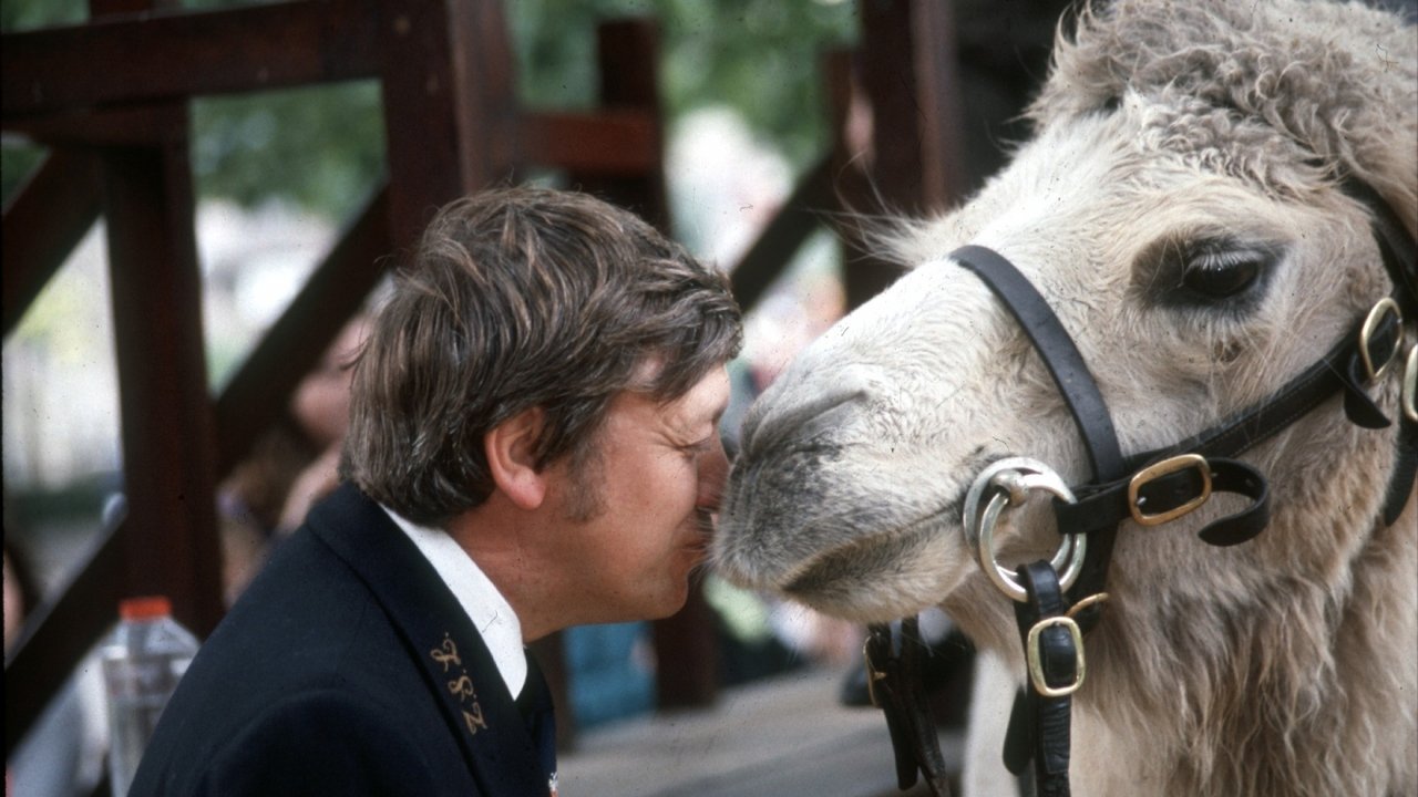 Survival of the Fittest