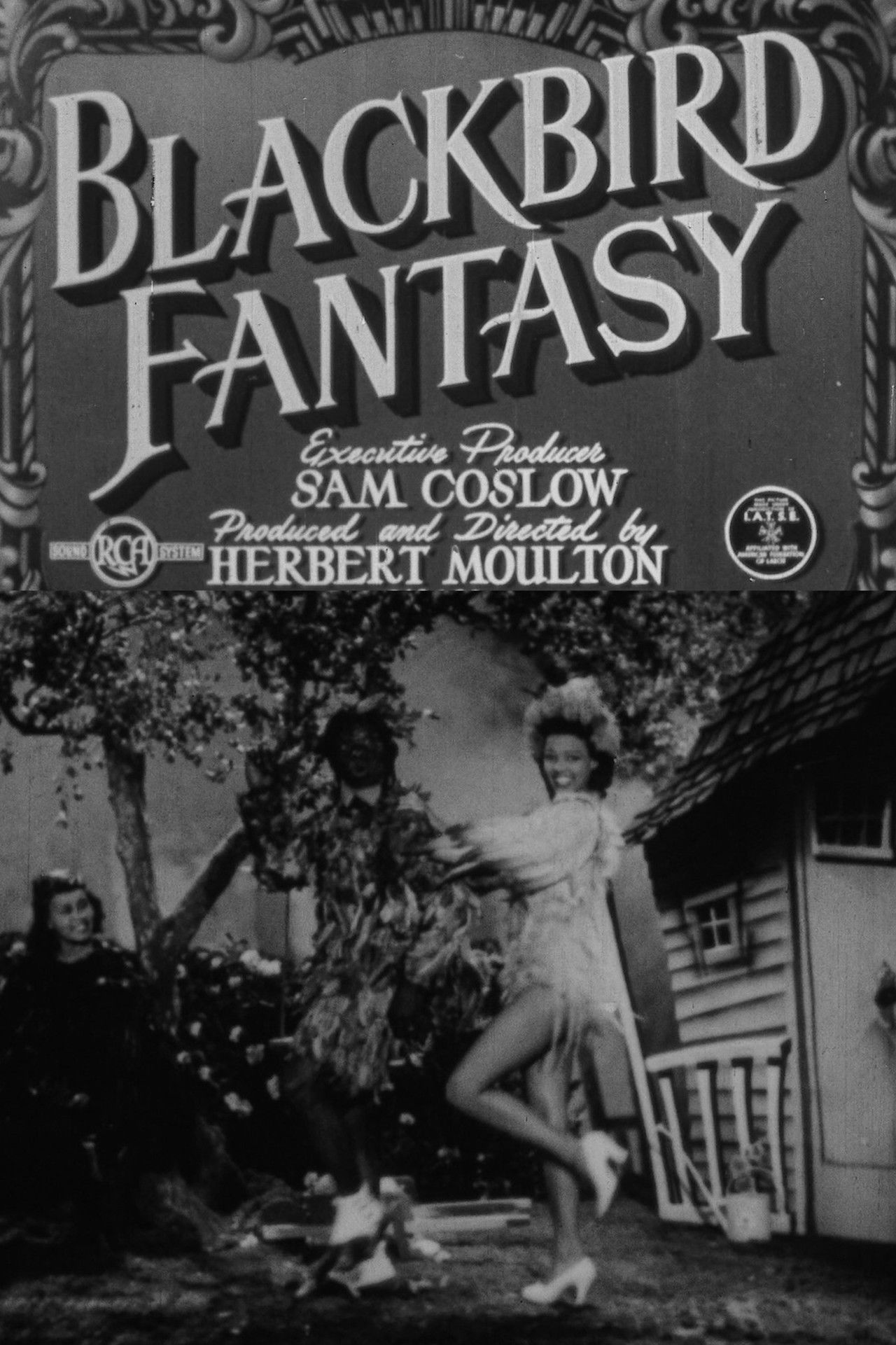 Blackbird Fantasy Backdrop