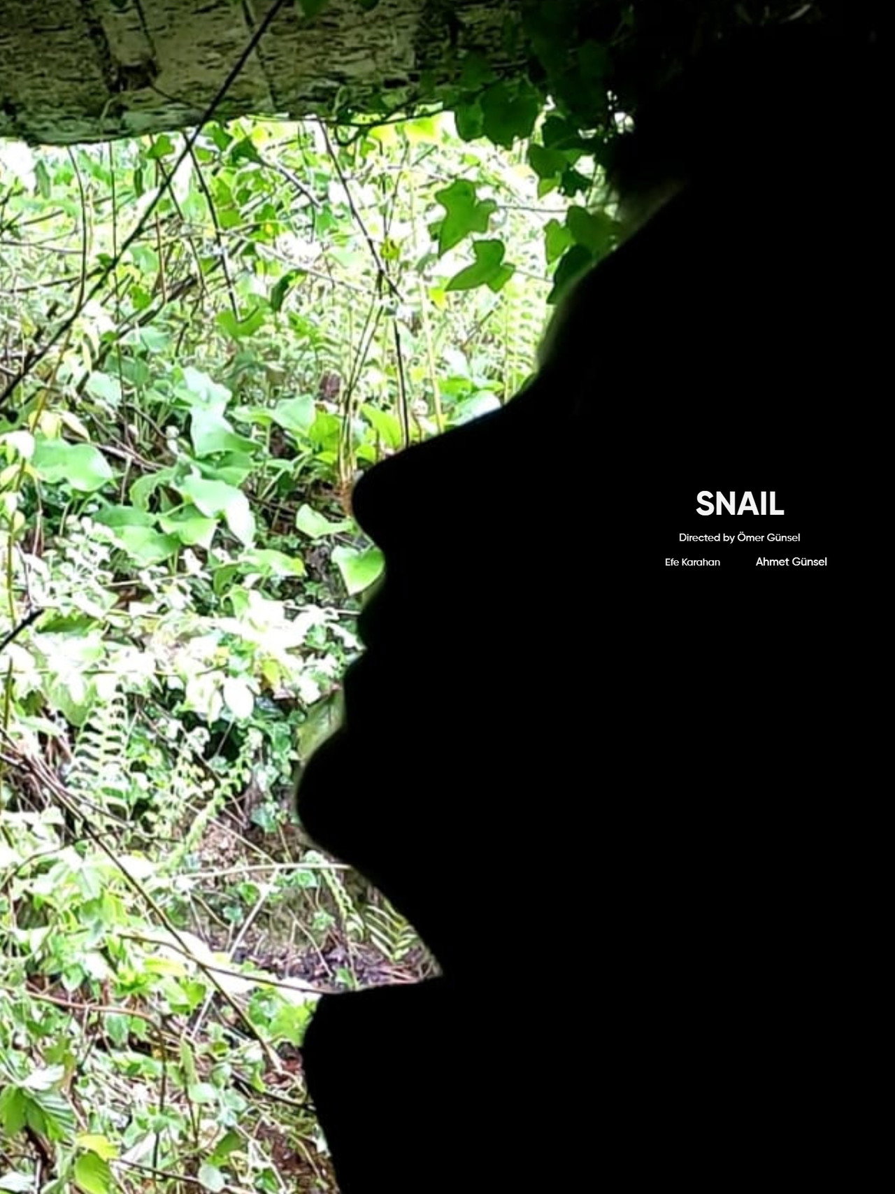Snail Backdrop