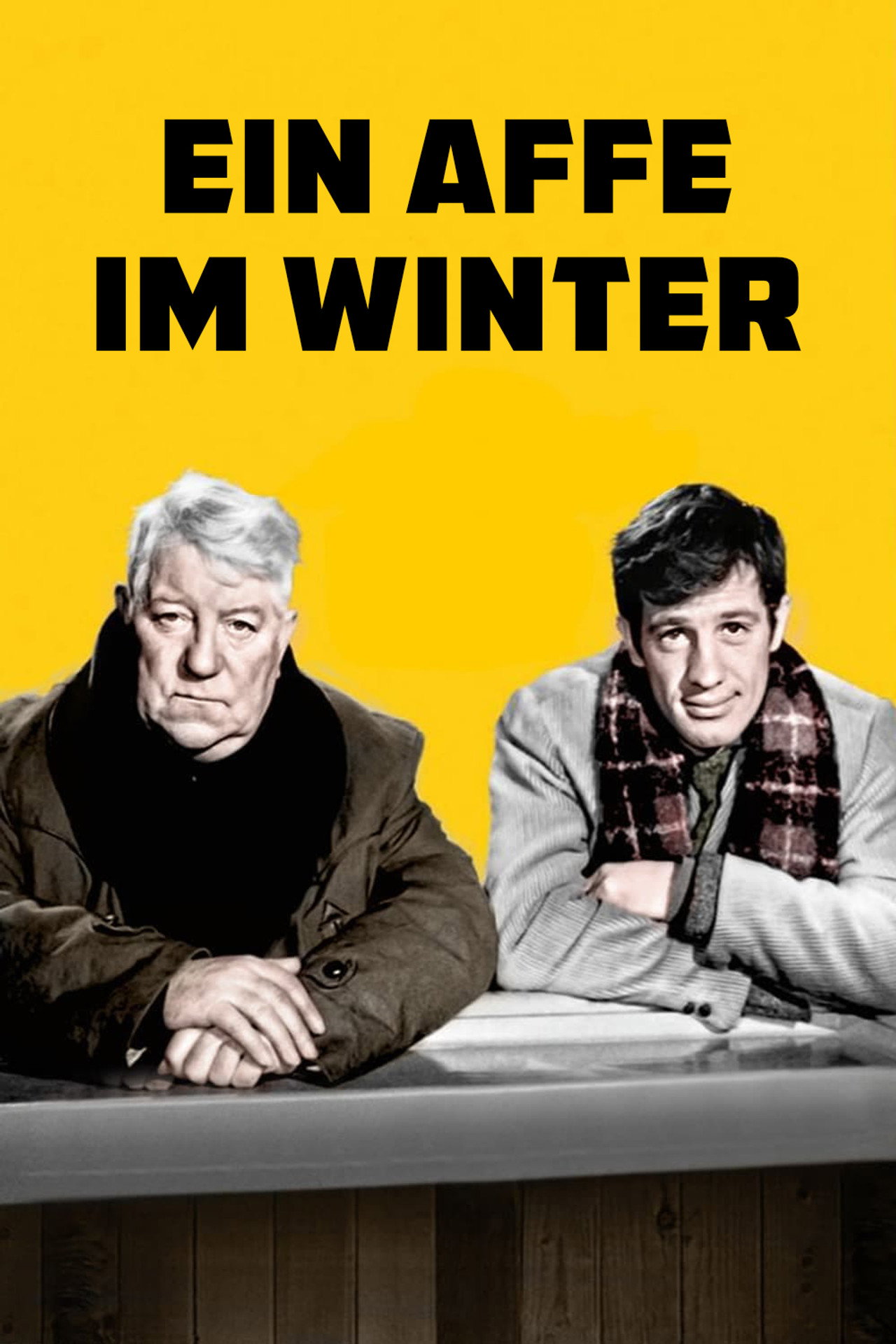 Ein Affe im Winter
