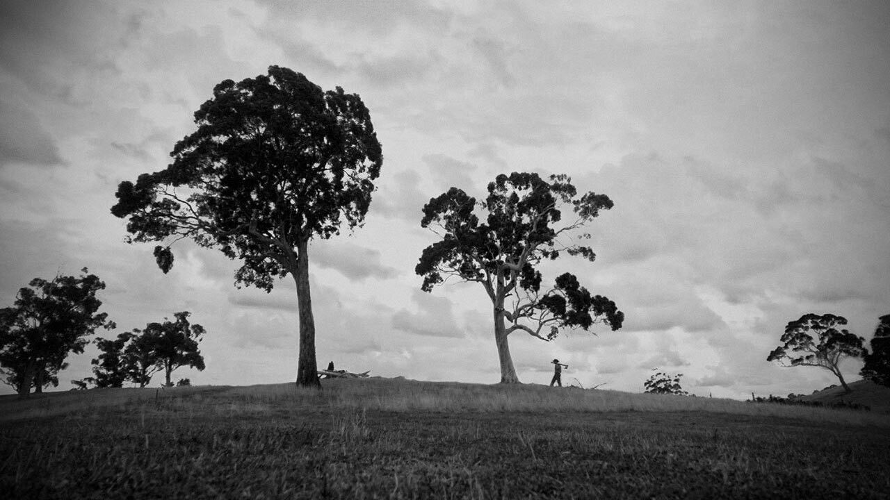 The Lost Tools of Henry Hoke — Épisode 6