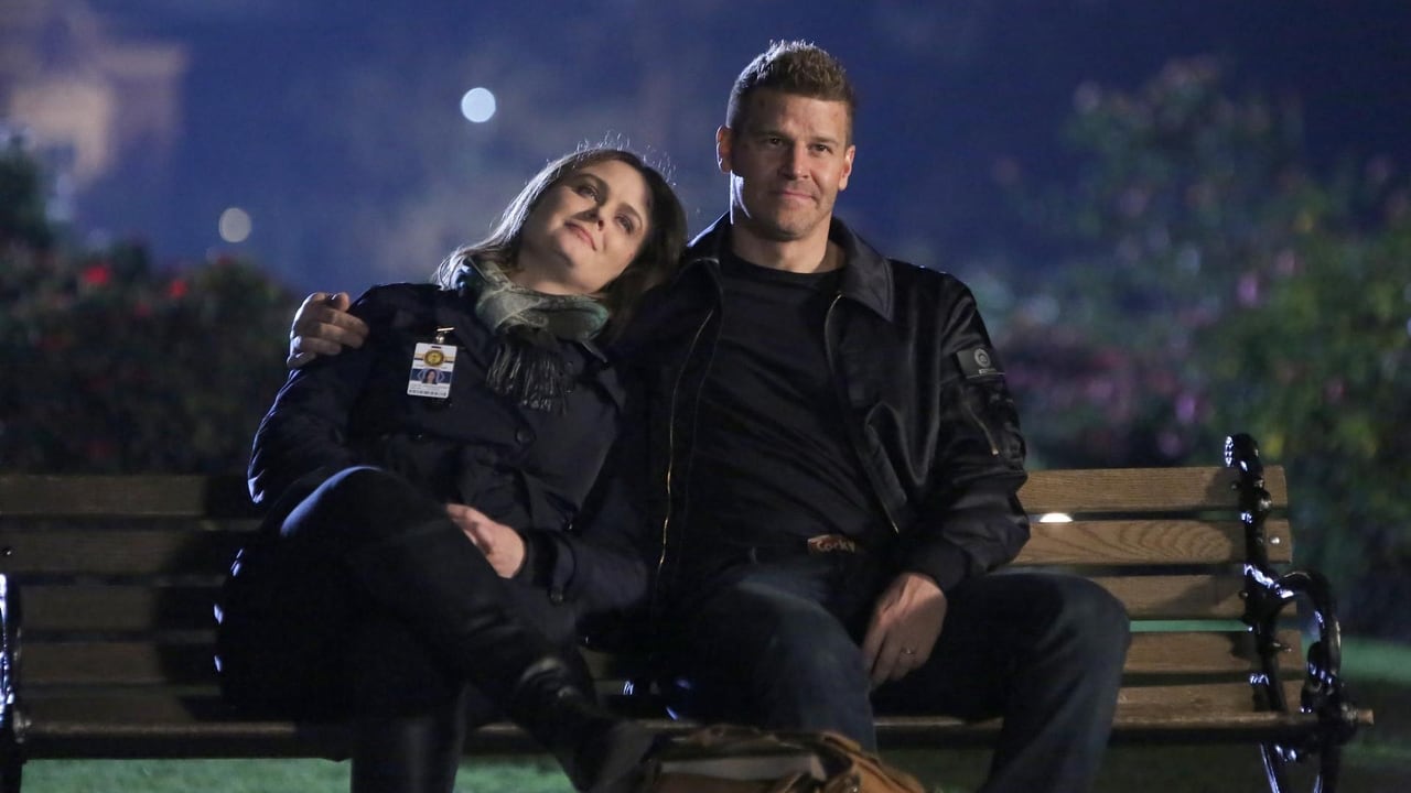 Bones - Season 12 Episode 12 : The End in the End