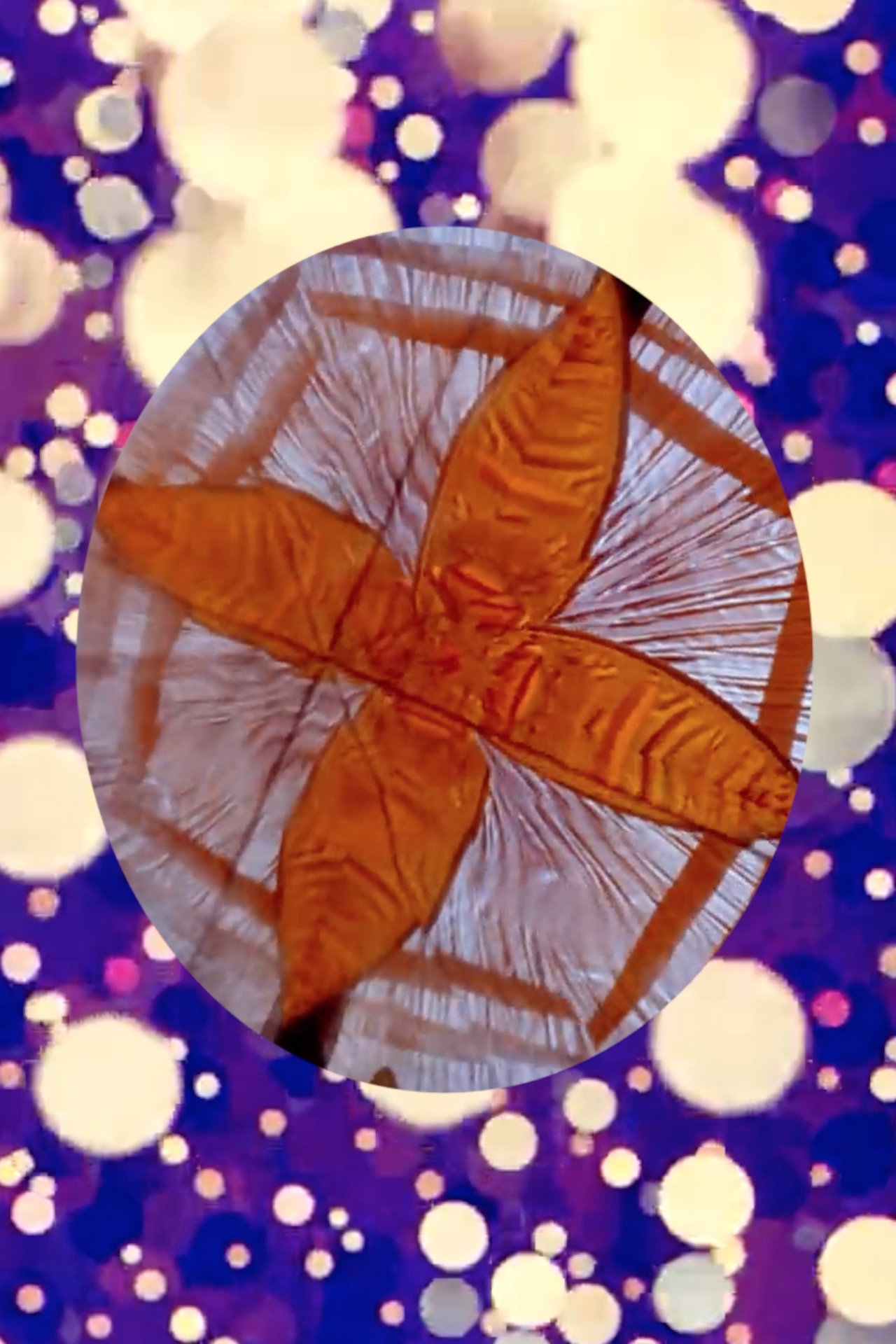 Ballet mitocondrial filmaffisch