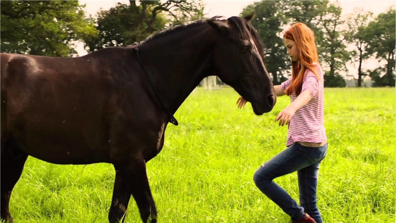 Cast and Crew of Windstorm Collection