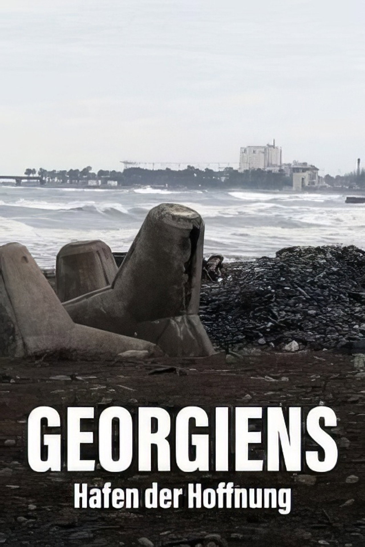 Géorgie - Le port de tous les enjeux filmaffisch