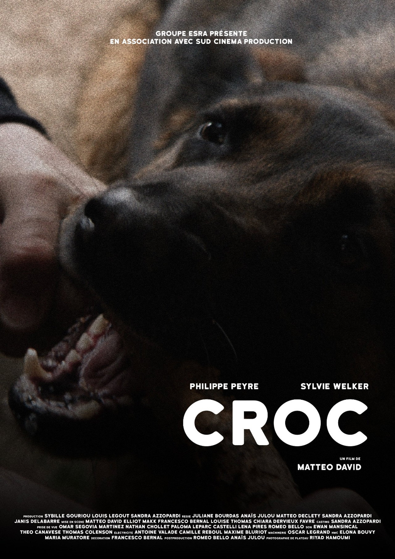 CROC filmaffisch