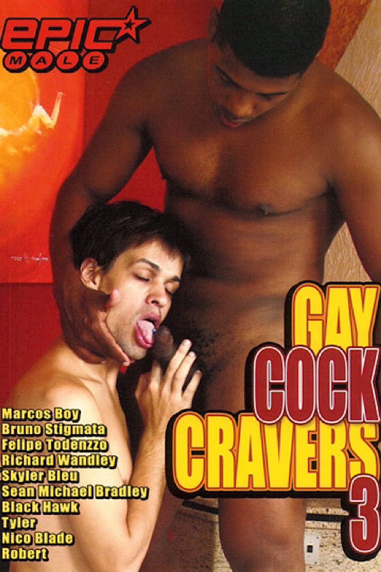 Gay Cock Cravers 3 filmaffisch