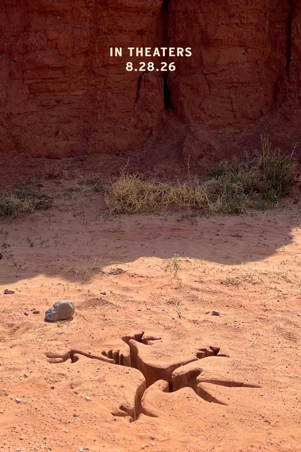 Coyote vs. Acme