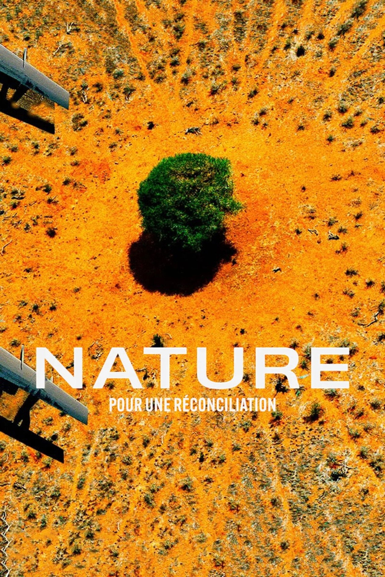 Nature: The Call for Reconciliation