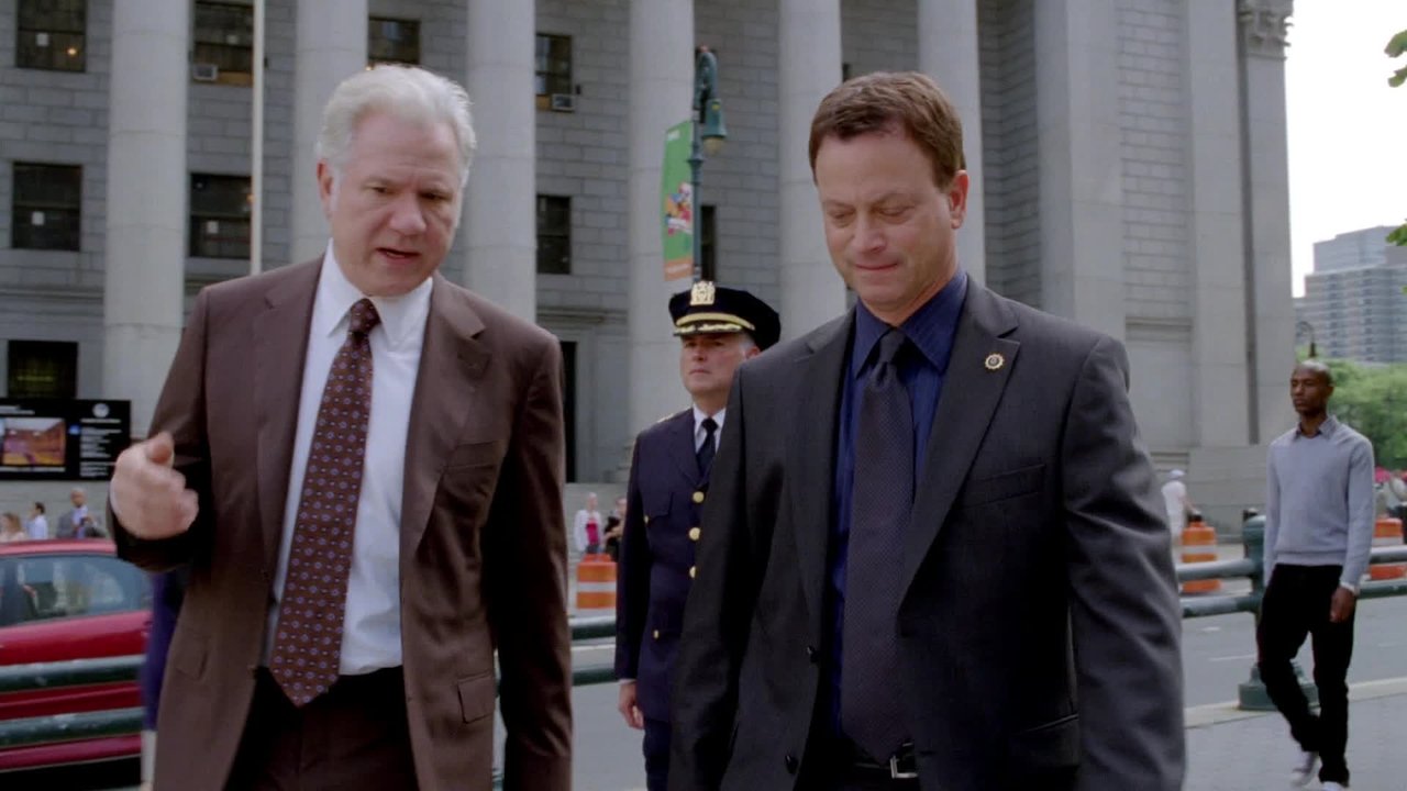 CSI: NY - Season 7 Episode 7 : Hide Sight