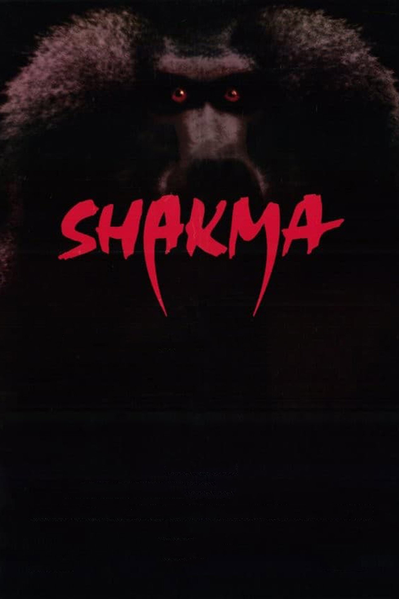 Shakma – plakát 6