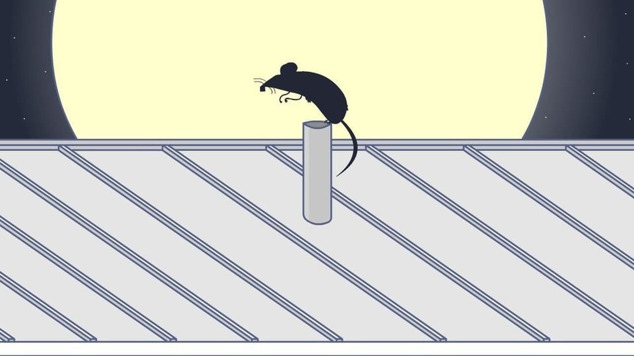 Rooster Teeth Animated Adventures - Season 3 Episode 10 : Gus' Rooftop Rat