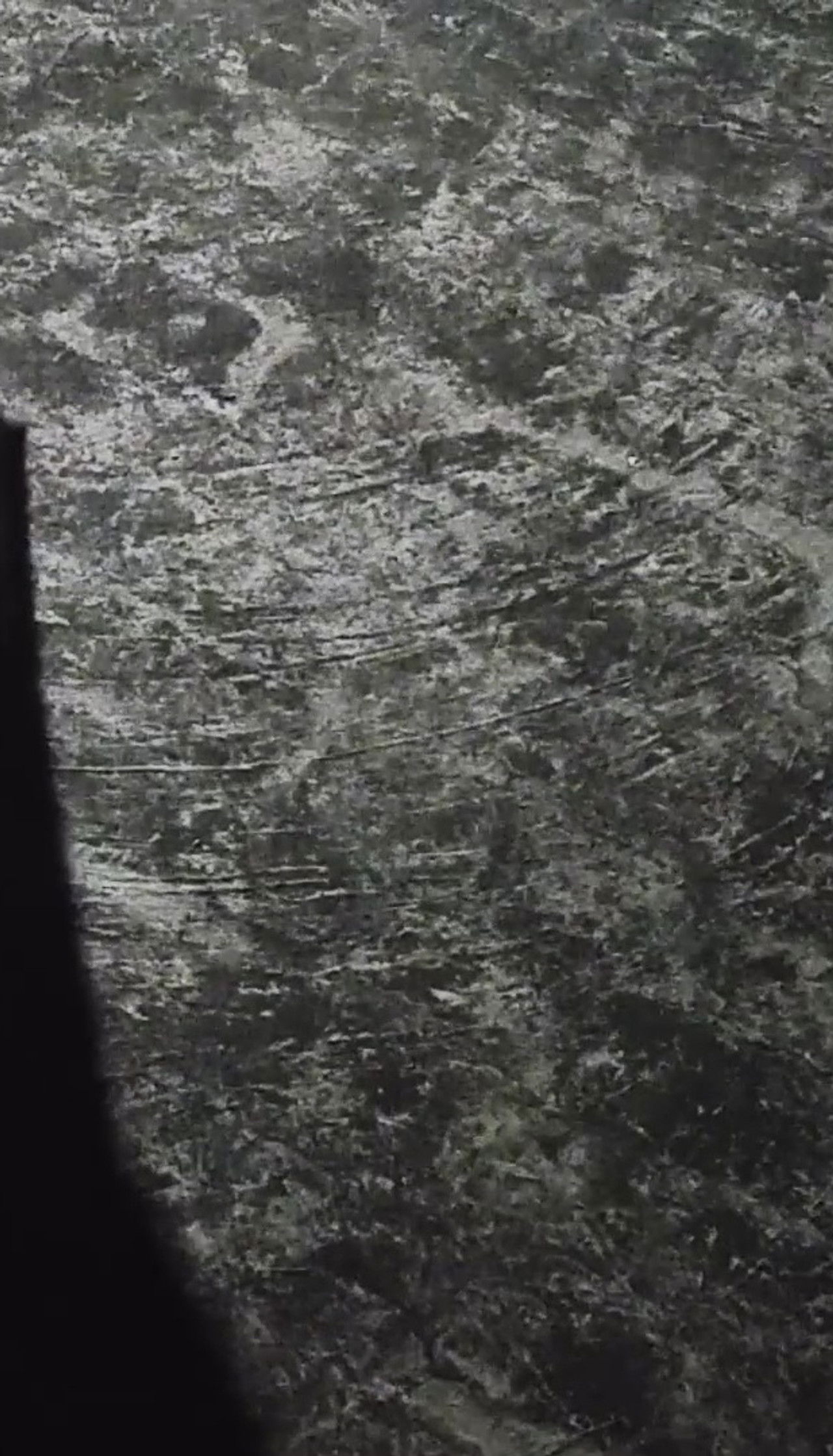 Embodiment of Darkness 2019