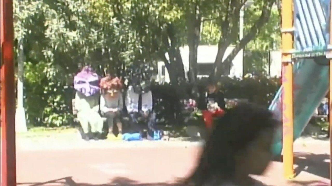 don't let the bedbugs bite