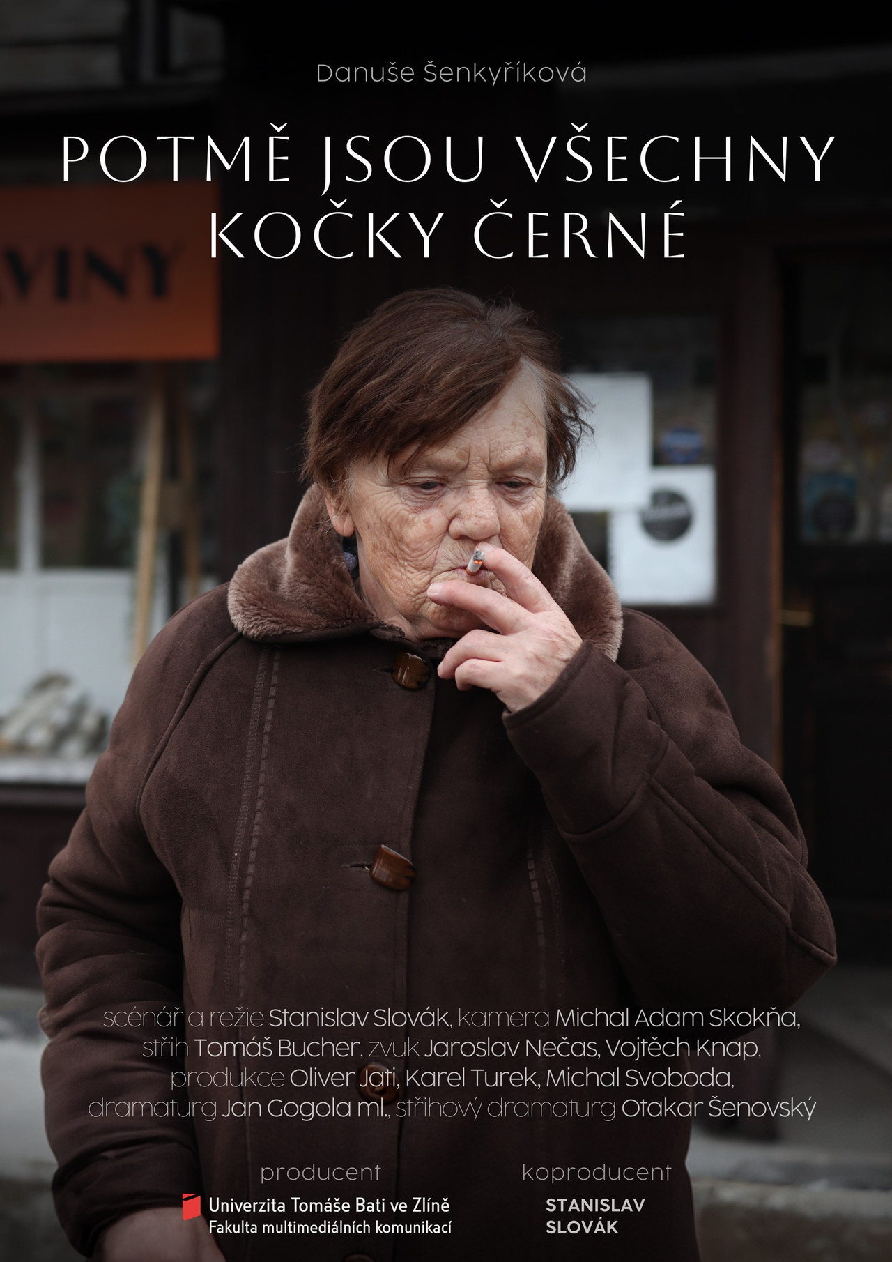 Potmě jsou všechny kočky černé filmaffisch