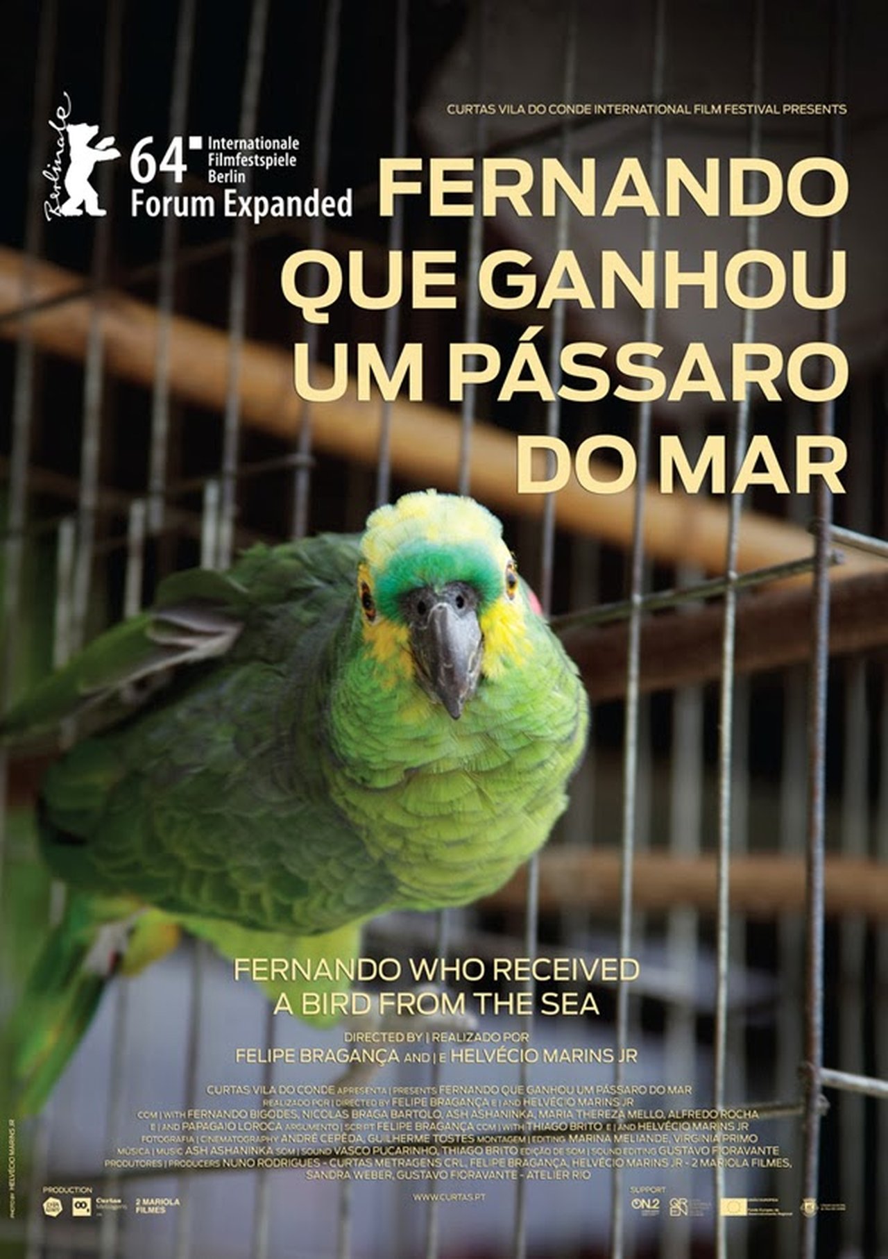 Fernando que Ganhou um Pássaro do Mar Fernando que Ganhou um Pássaro do Mar