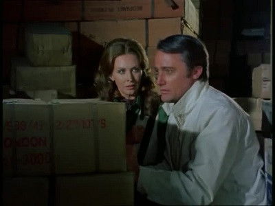 The Protectors backdrop