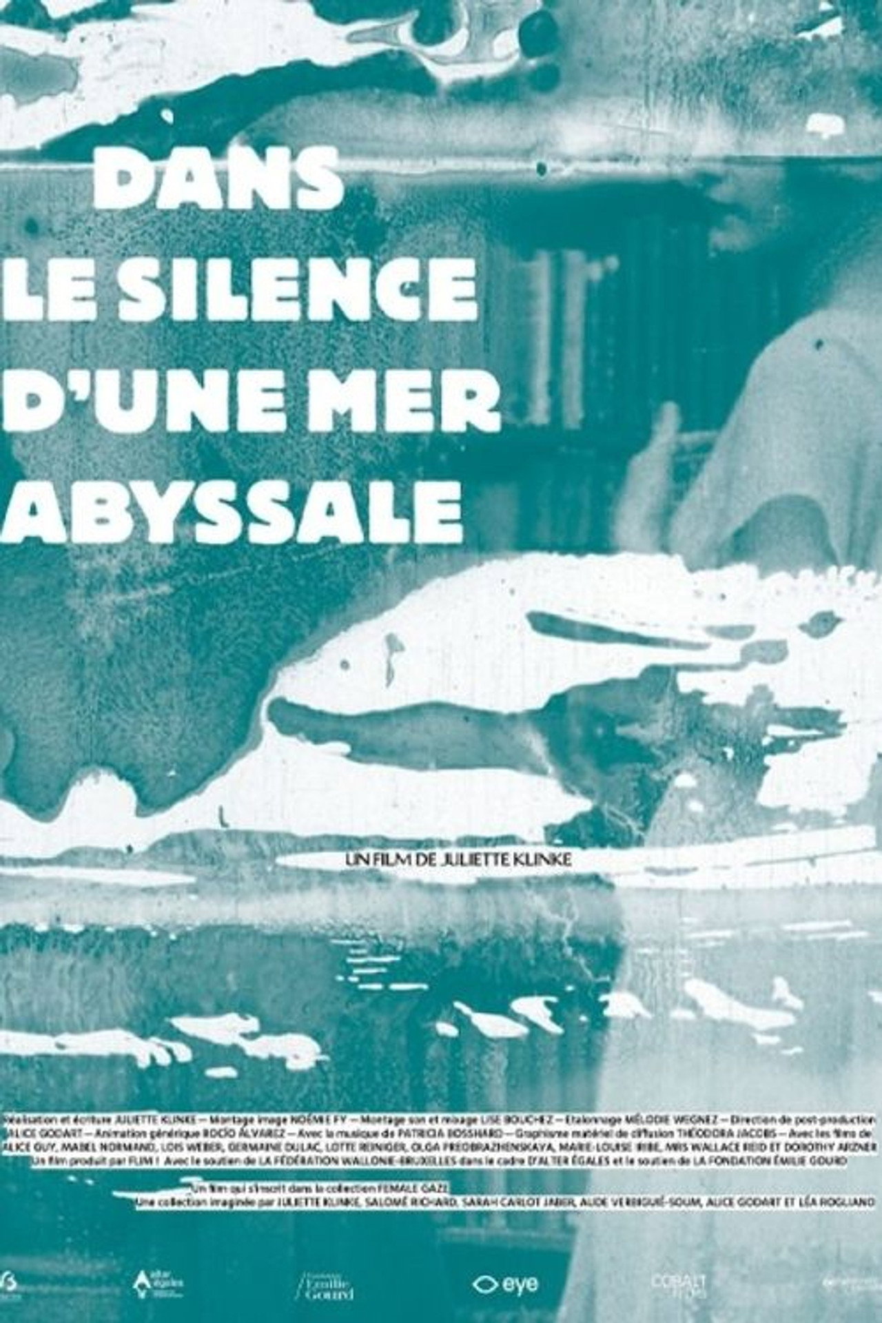 Dans le silence d'une mer abyssale filmaffisch